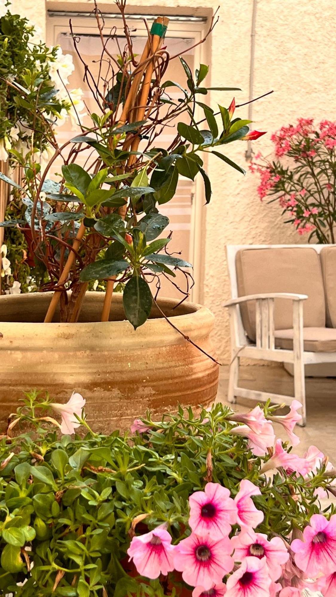 Dimora Donna Vitalia Apartments Trapani Eksteriør billede